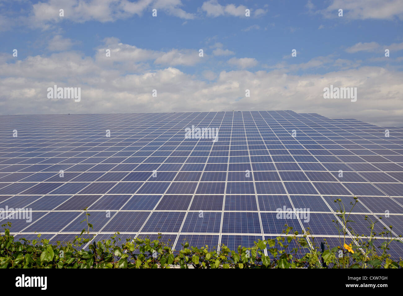 Photovoltaik-Kraftwerk in der Nähe von Verona, Provinz Verona, Veneto Region, Italien Stockfoto
