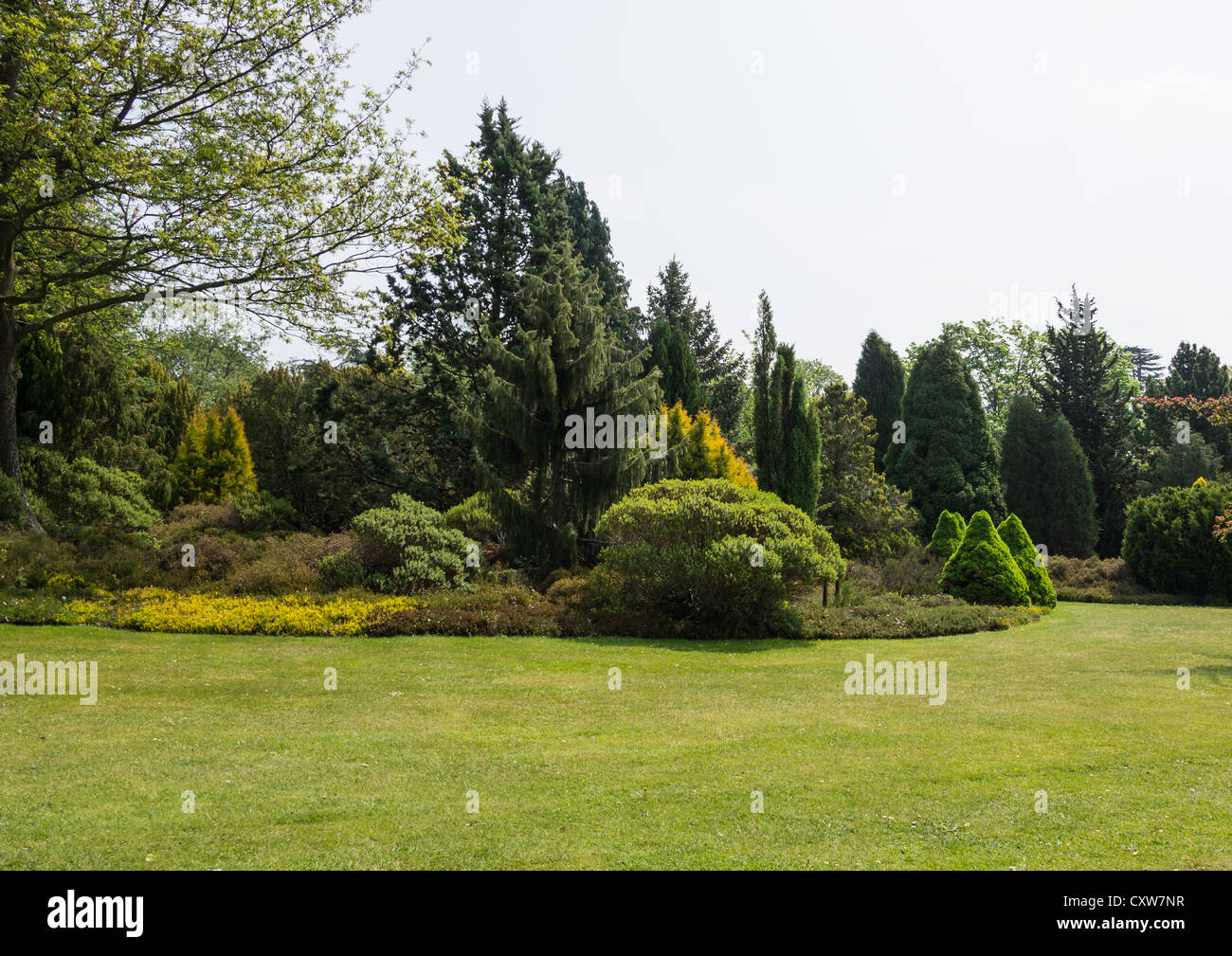 Teil des Parks Landschaft bei Exbury Gardens, Stockfoto