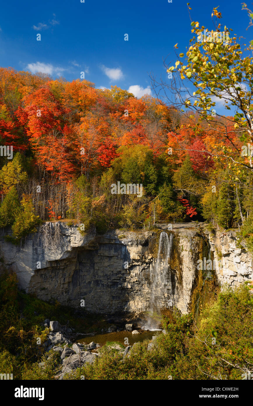 Farben des Herbstes im Eugenia fällt Schlucht auf der Beaver River Niagara Escarpment Ontario Kanada Stockfoto