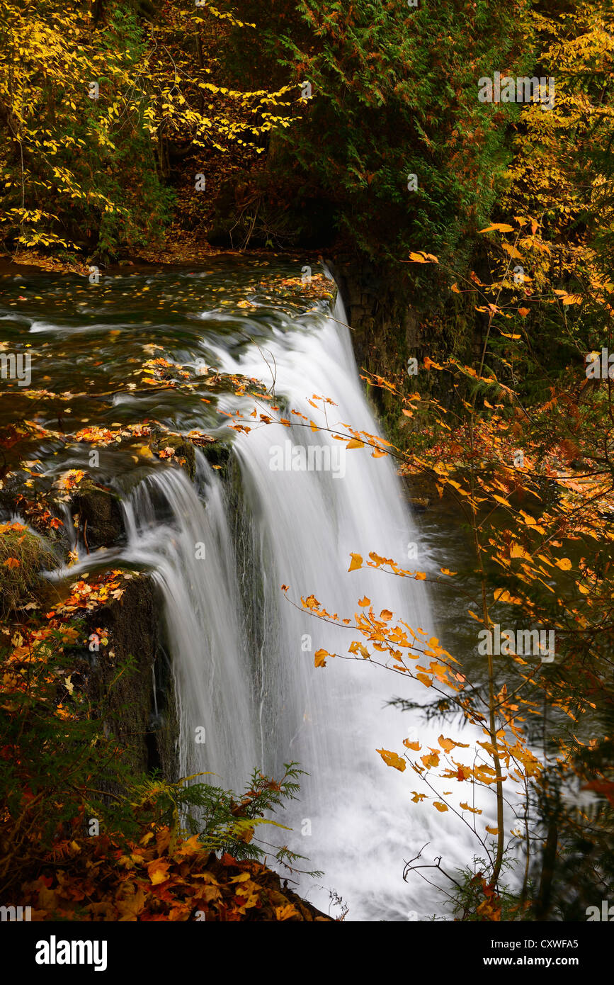Hoggs fällt auf den Boyne River Flesherton Grey County Ontario Kanada mit Orange Blätter fallen Stockfoto