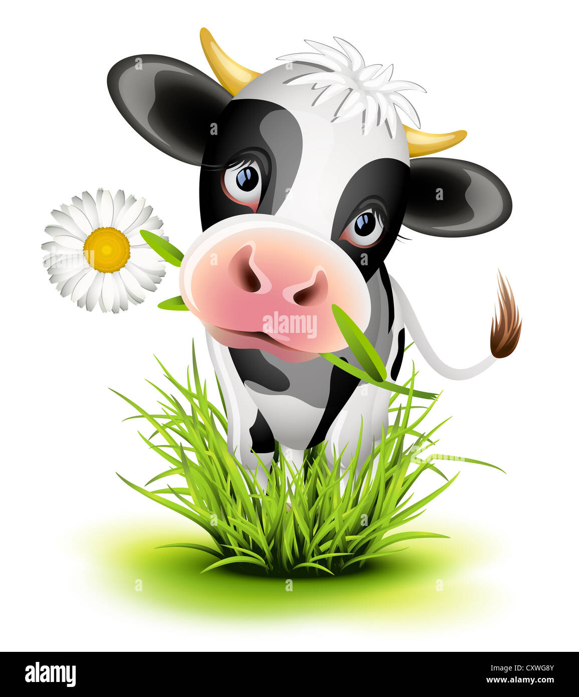 Niedliche Holstein Kuh in Grasgrün Stockfoto