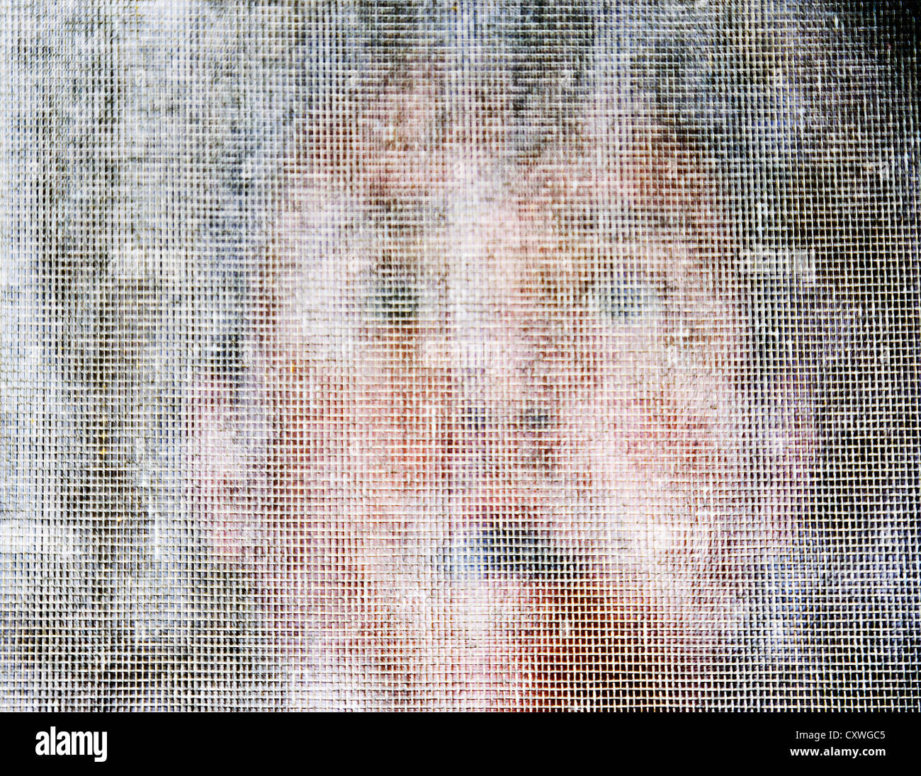 Gesicht eines Mannes durch eine alte Fenster-Bildschirm. Stockfoto