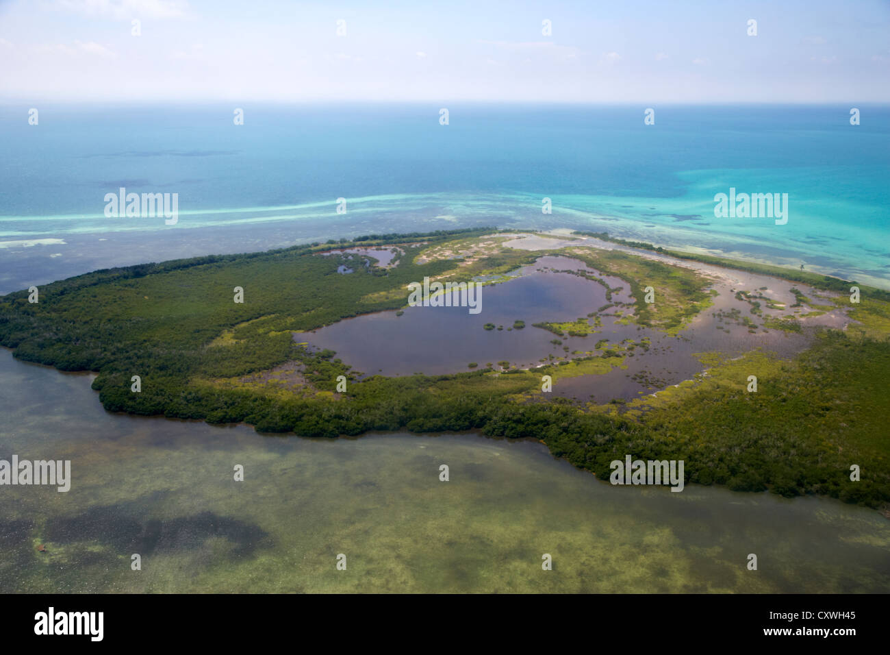 Boca Grande Schlüssel im Maultier Schlüssel Teil des Key West national Wildlife refuge Inseln Florida Keys usa Stockfoto