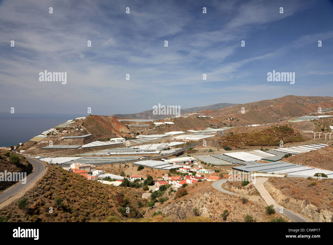 Plantagen an der Mittelmeerküste in der Nähe von Almeria. Andalusien, Spanien Stockfoto