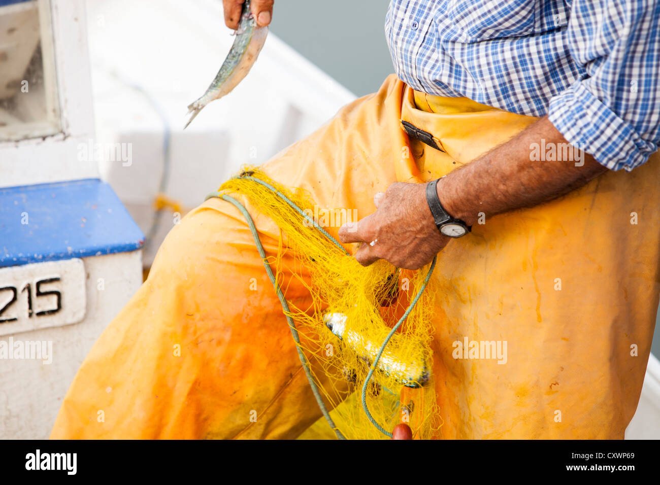 Nachhaltig gefangenen Fisch in einem Netz an Bord ein kleinen traditionellen griechischen Fischerboot im Hafen von Myrina, Limnos, Griechenland. Stockfoto