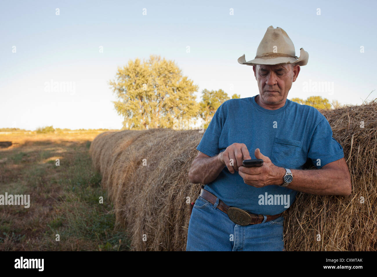 Landwirt mit Handy von Heuballen Stockfoto