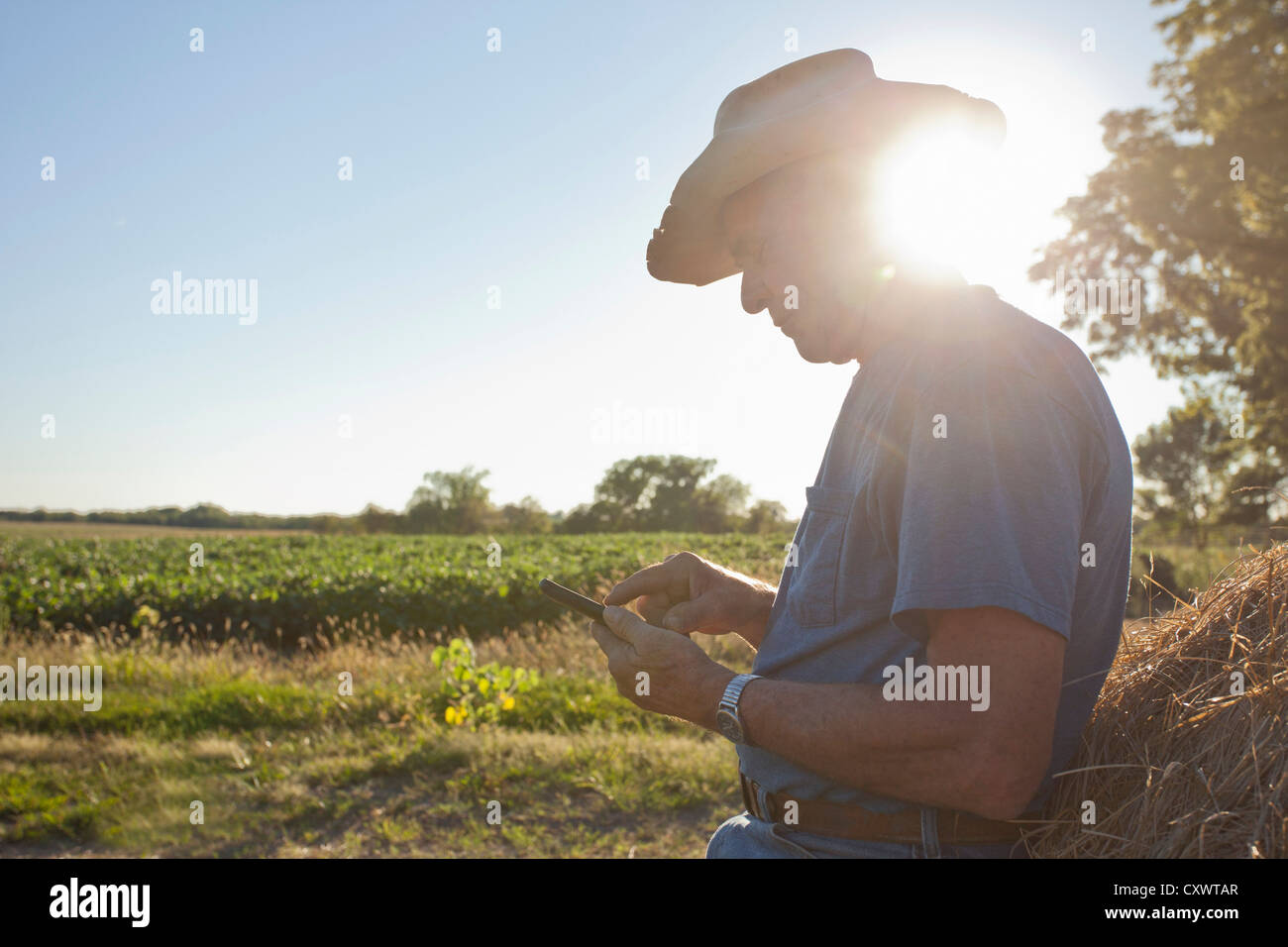 Landwirt mit Handy von Heuballen Stockfoto