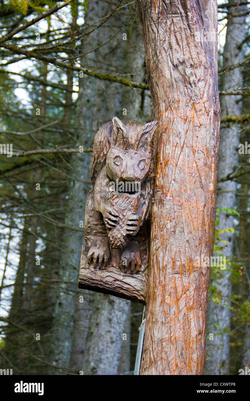 Eichhörnchen aus Holz schnitzen verbunden Baumstamm Carving in Galloway Forest - Schottland Stockfoto
