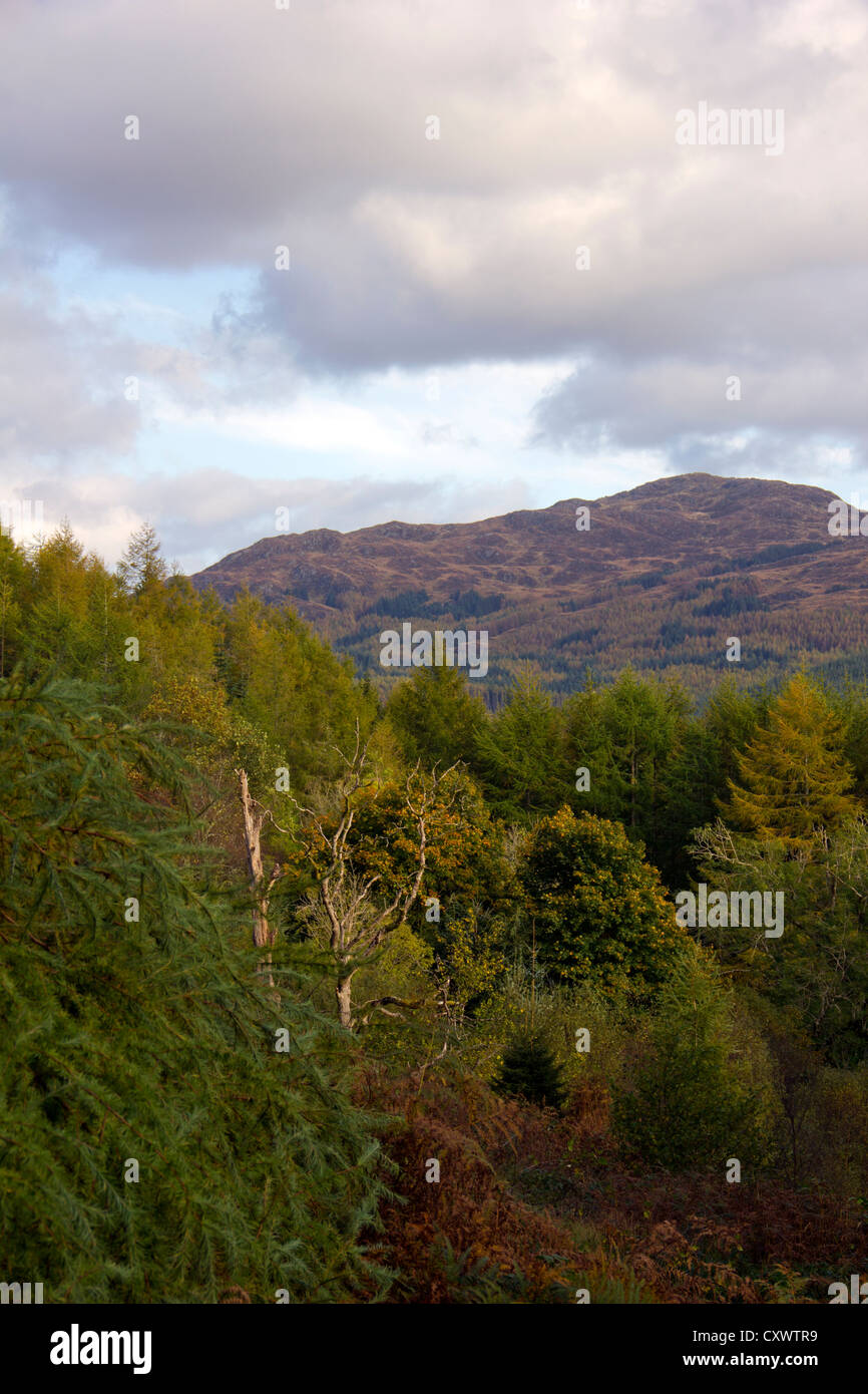 Galloway Hills in Galloway Forest Park in Schottland Stockfoto
