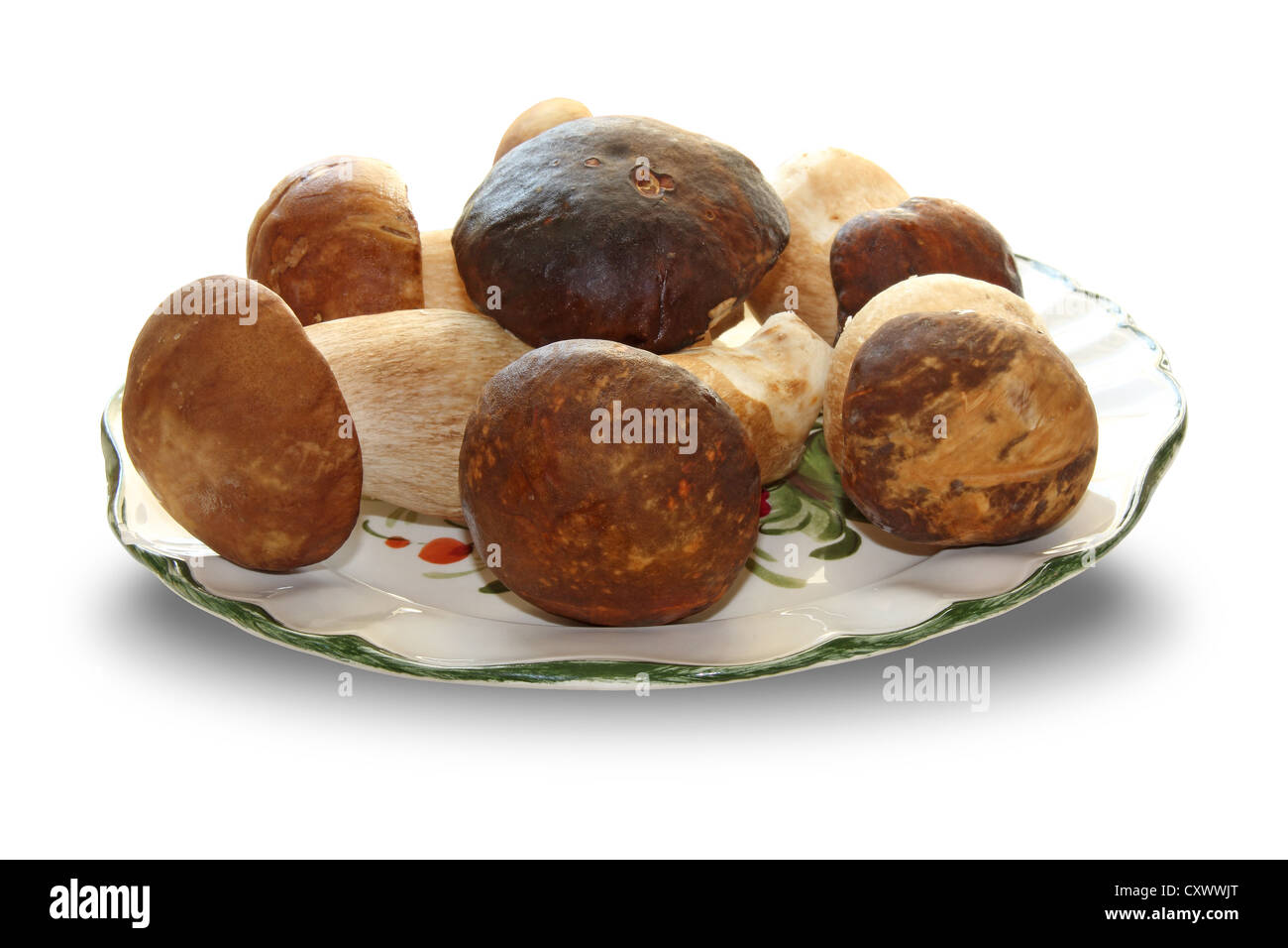 Gereinigte junge Herbst Pilz isoliert auf weißem Hintergrund Stockfoto