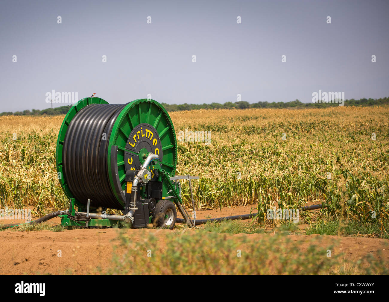 Bewässerungssystem In Omorate, Omo-Tal, Äthiopien Stockfoto