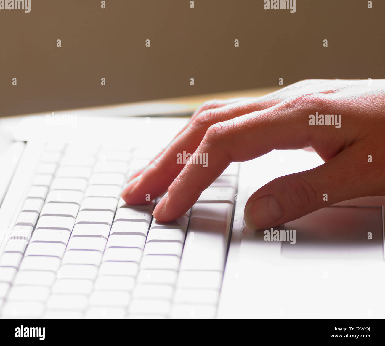 Frau am Computer Hände Stockfoto
