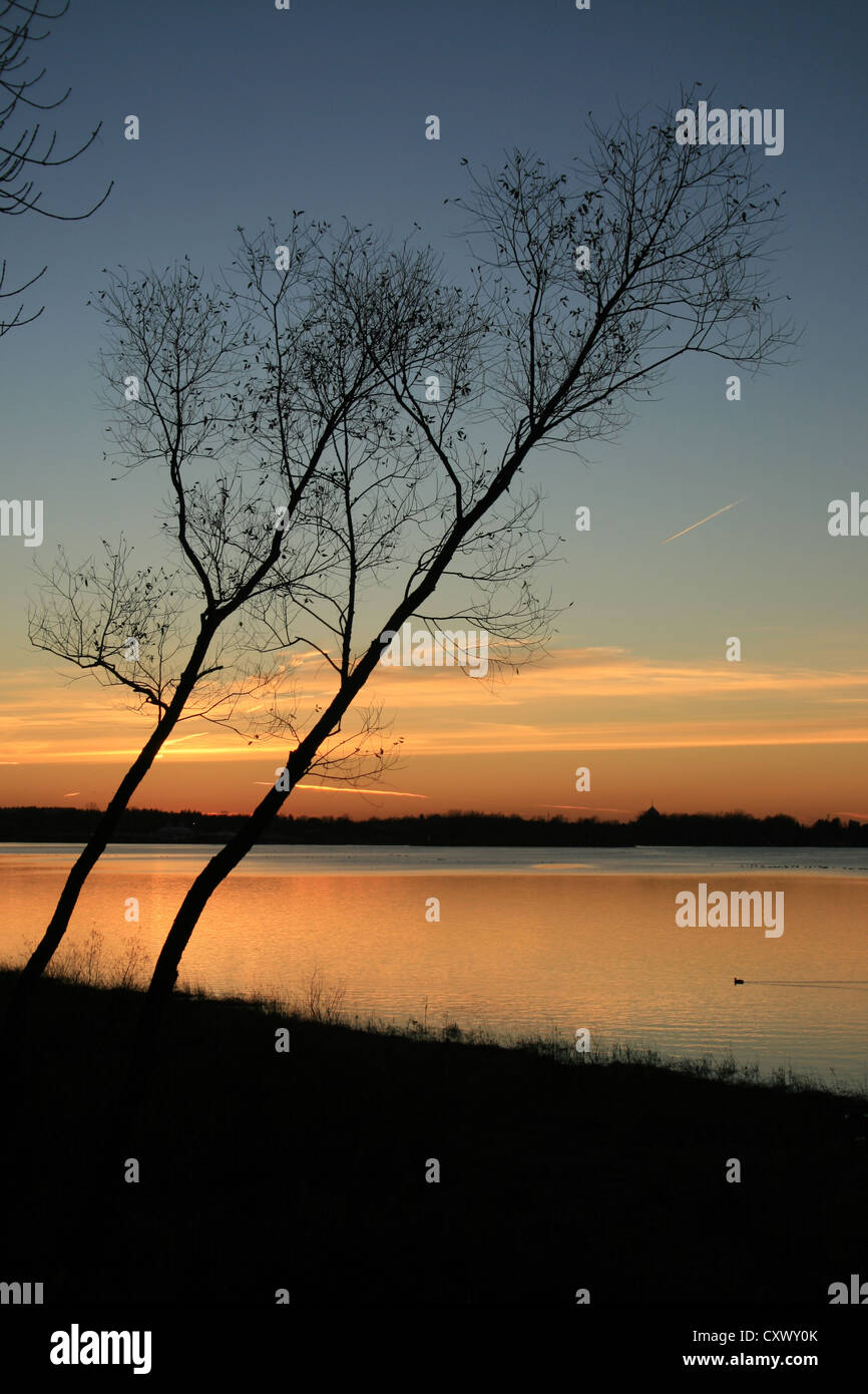 Beugte sich zwei Bäume über Ottawa River während des Sonnenuntergangs Stockfoto