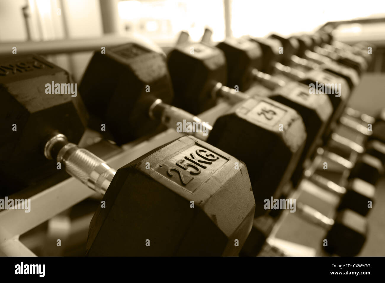 Hantel Gewichte trainieren Fitness-Trainingsgeräte Stockfoto