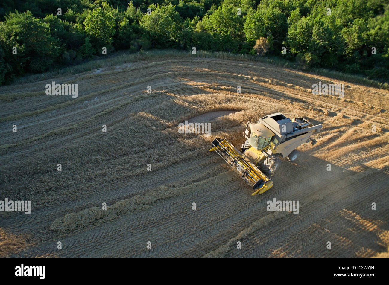 Bauer beim Ernten von Weizen mit Mähdrescher - Luftbild Stockfoto