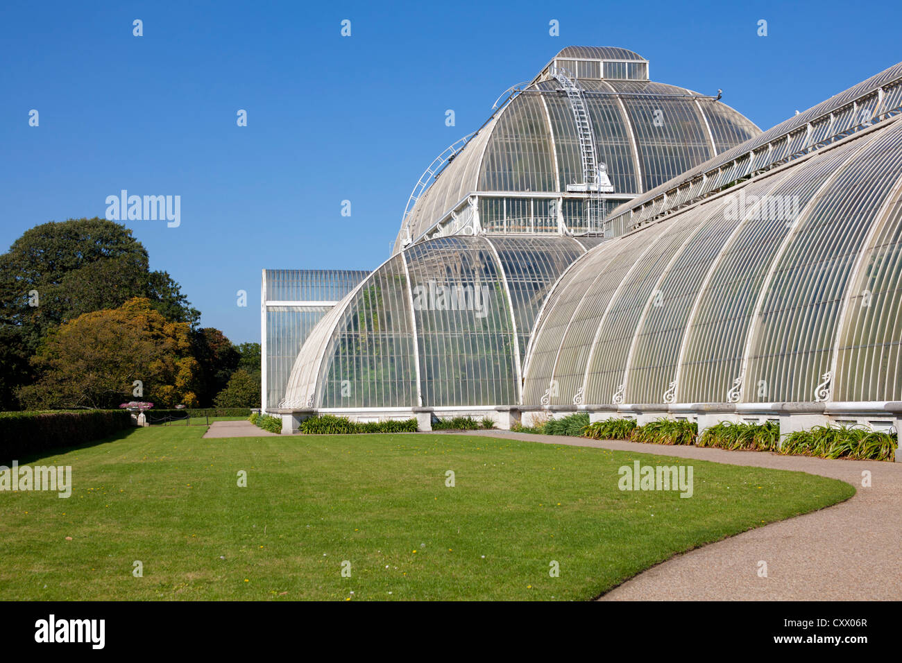 Das berühmte Palmenhaus in Kew Gardens, London, UK Stockfoto