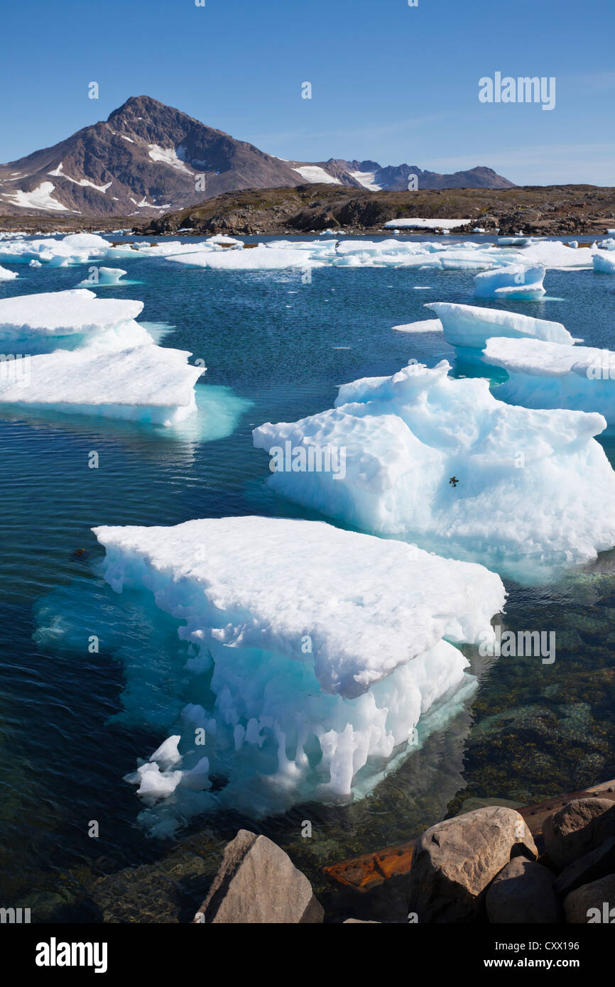 Meereis in der Nähe von Kulusuk, Grönland Stockfoto
