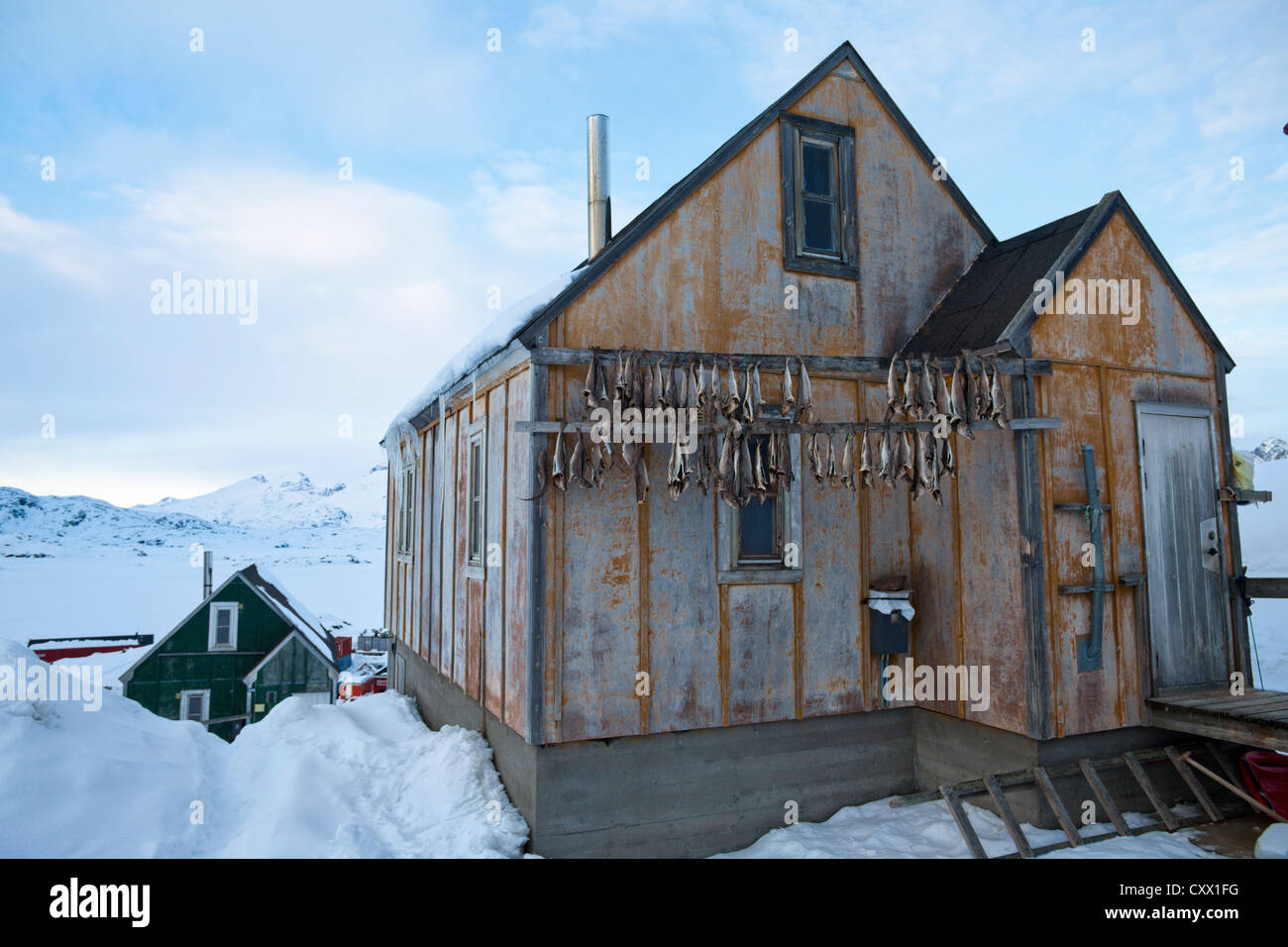 Grönland-Dorf - Fische Trocknen auf der Außenseite eines Hauses im Dorf Tasiilaq, Grönland Stockfoto
