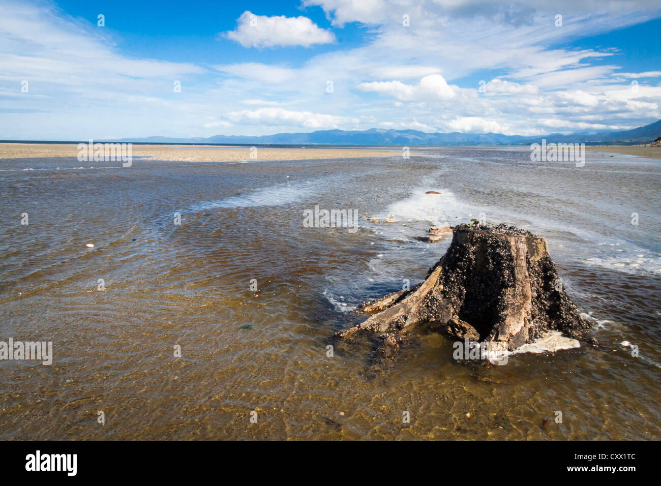 Ruhiger Strand-Szene mit plätschernden Wellen und Berg-Kulisse. Zeigen Muschel auf Baumstumpf wachsen. Stockfoto