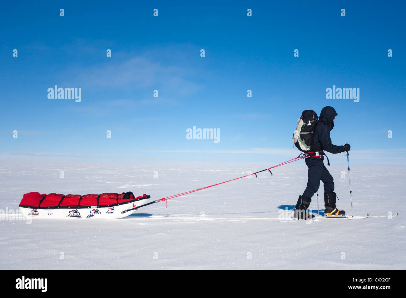 Polarforscher schleppen Schlitten, Grönland Stockfoto
