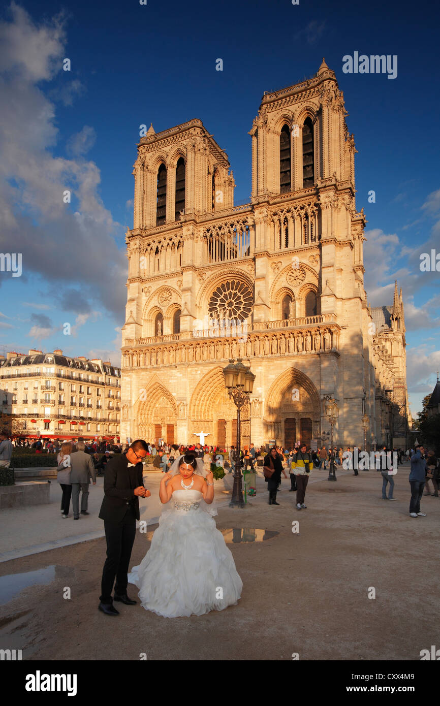 Notre Dame de Paris; La Cathédrale Notre-Dame de Paris Stockfoto