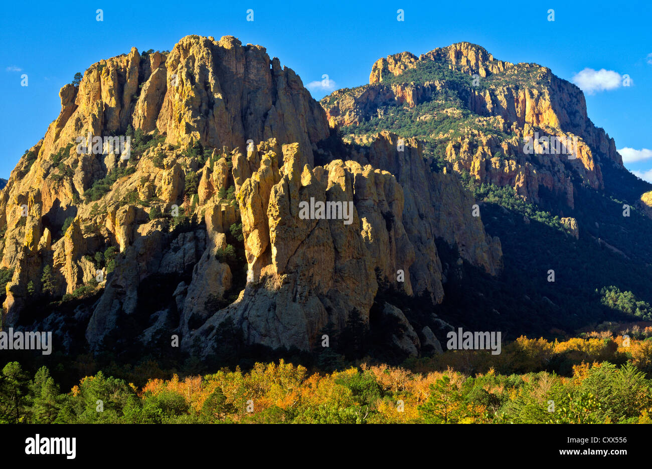 Chiricahua Mountain Wilderness Area, Südosten von Arizona. USA Stockfoto