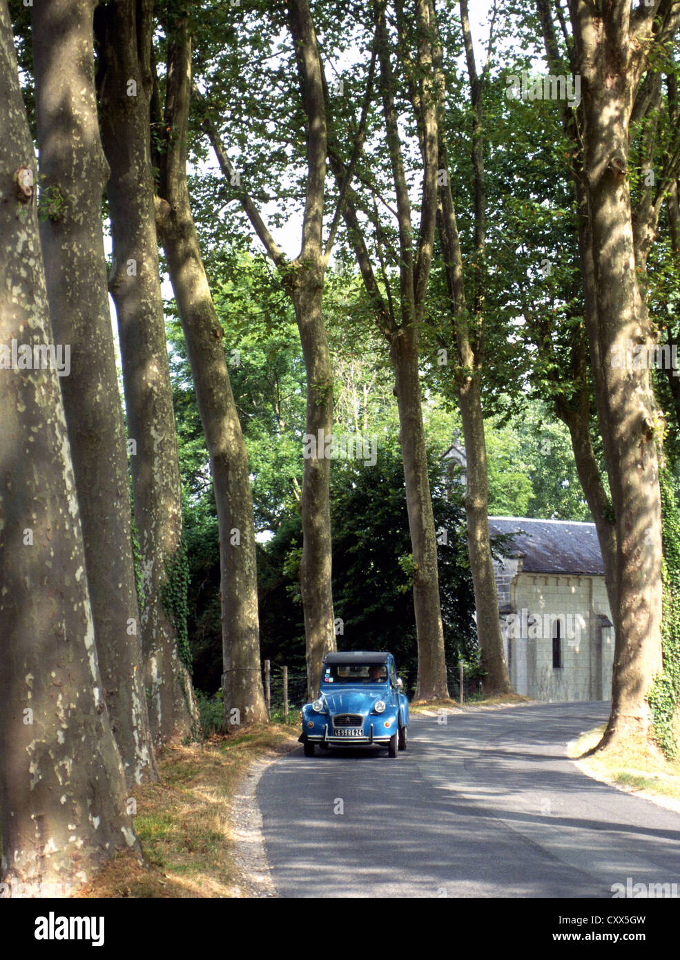 Eine blaue Citroen 2CV auf einem sonnenbeschienenen Baum gesäumten Straße in Frankreich Stockfoto