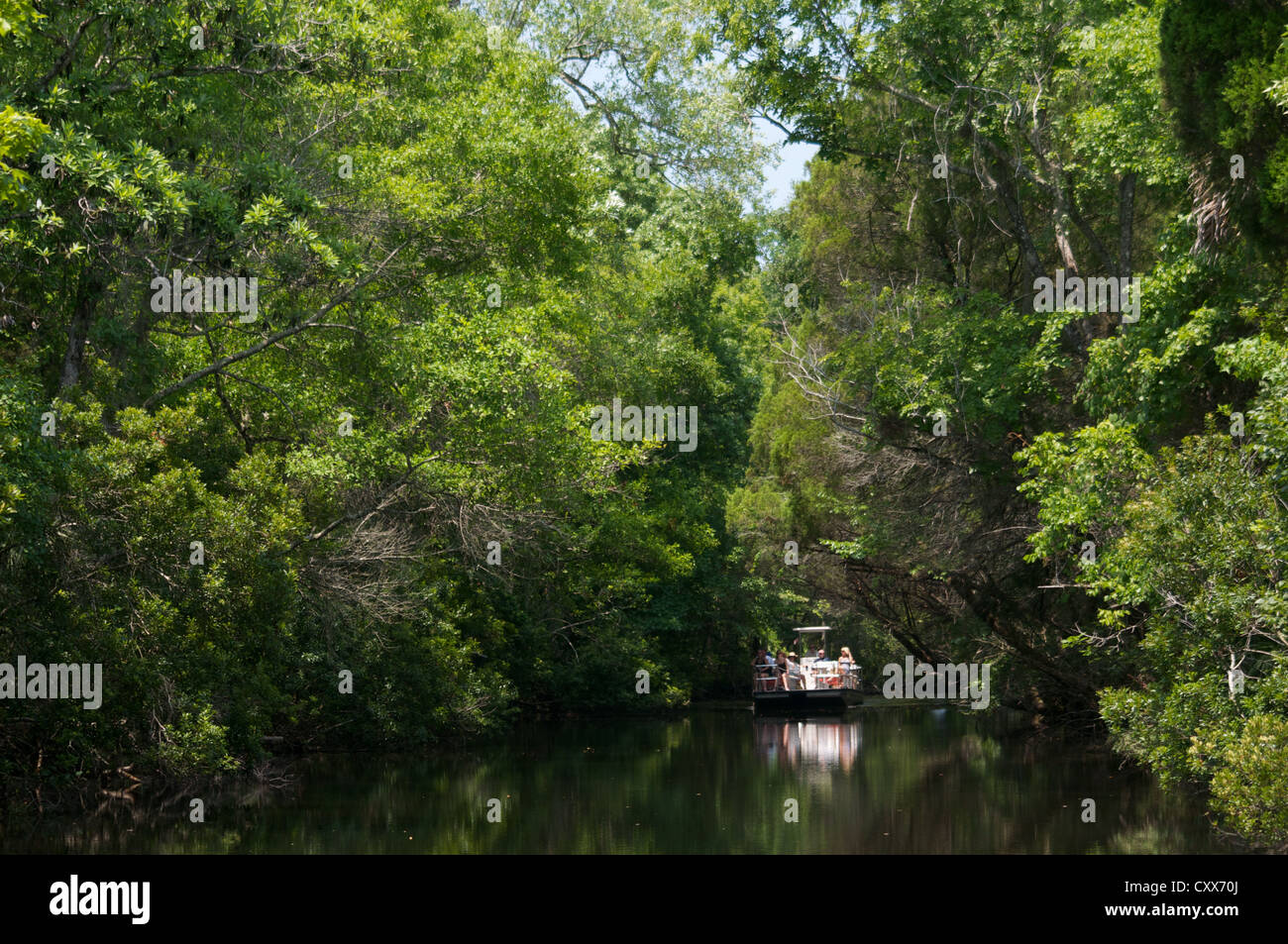 Kleines Boot auf Pfeffer Creek, Florida Stockfoto