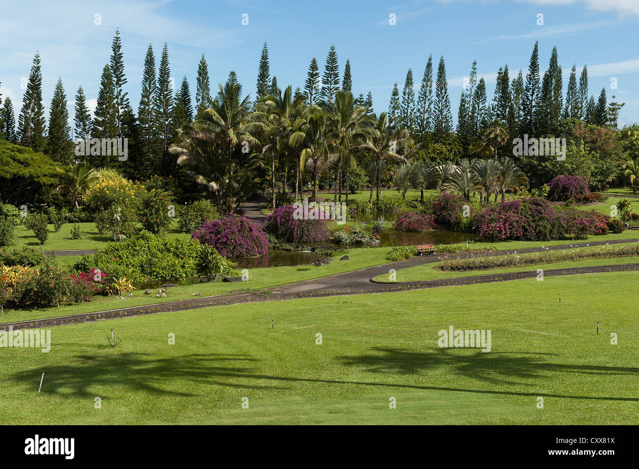 Elk284-2113 Hawaii, Big Island, Hilo, Nani Mau Gardens Stockfoto