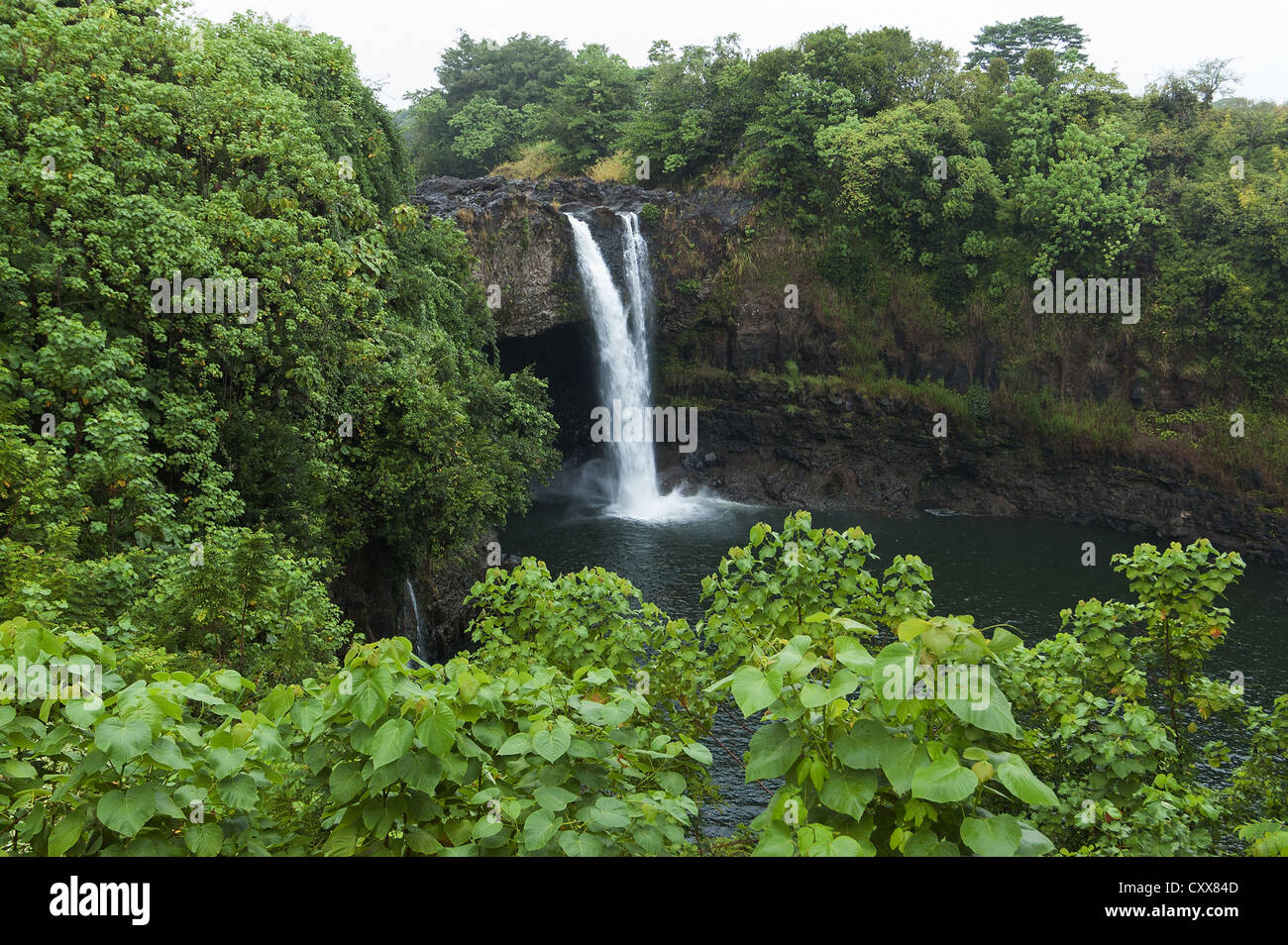 Elk284-2153 Hawaii, Big Island, Hilo, Rainbow Falls Stockfoto