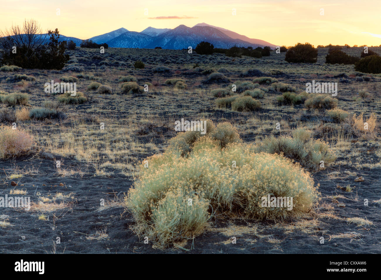 Colorado-Plateau in Arizona Stockfoto