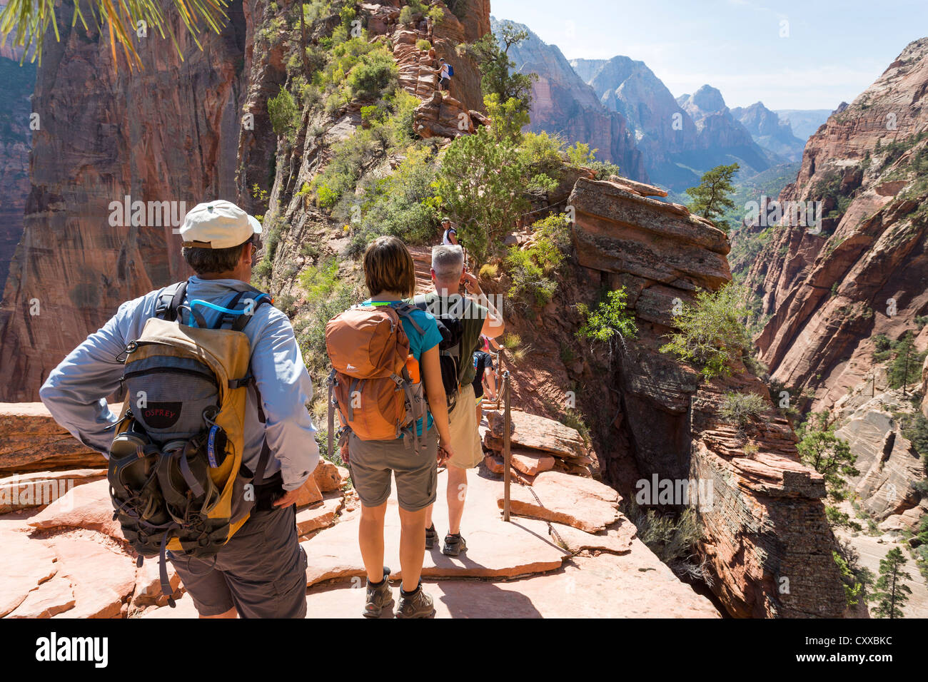 Menschen, die eine anstrengende Angel Landing Wanderweg im Zion National Park - schöne Ausblicke Stockfoto