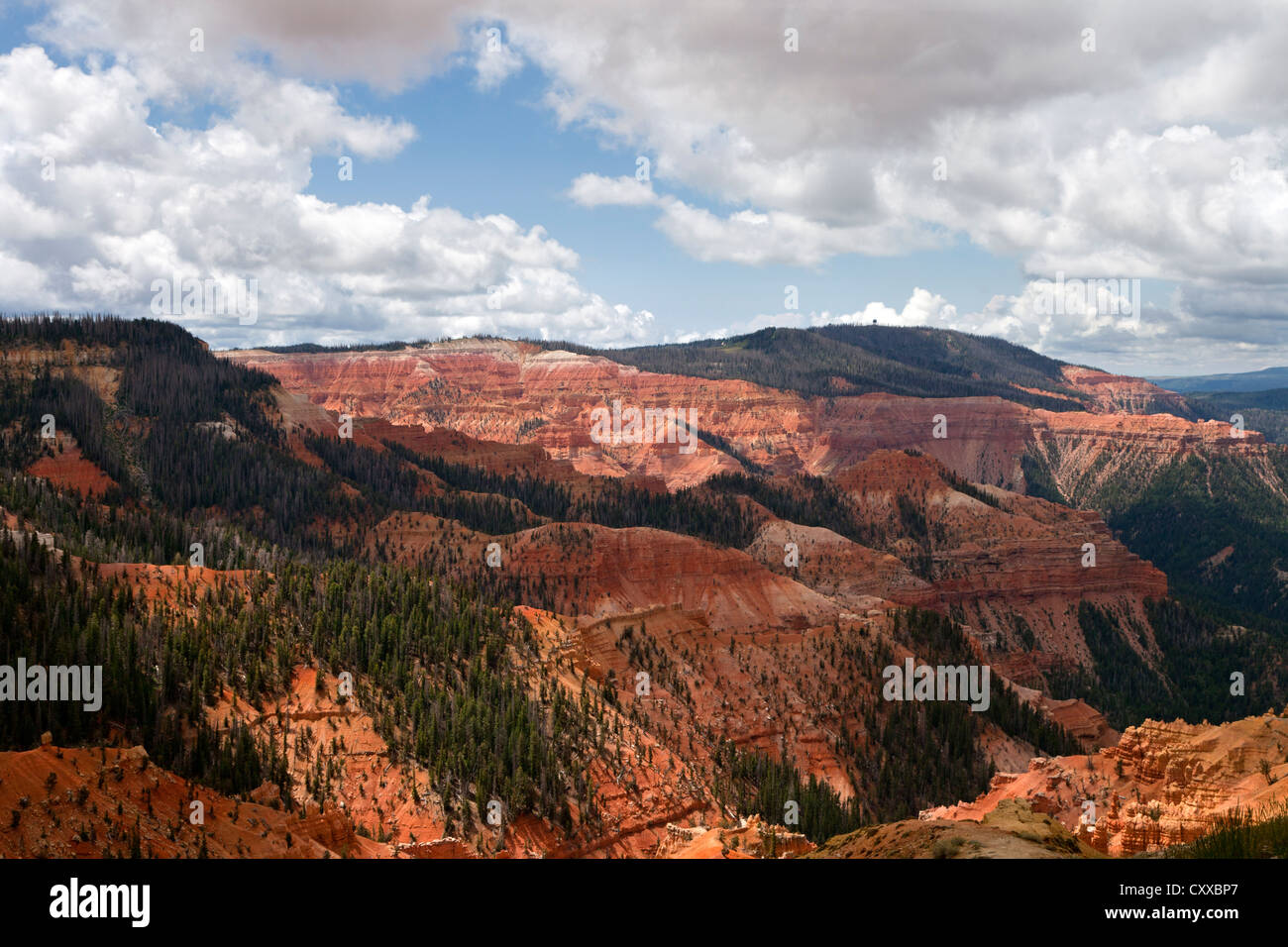 Gewitter-Formulare über das Amphitheater am Cedar Breaks National Monument. Stockfoto