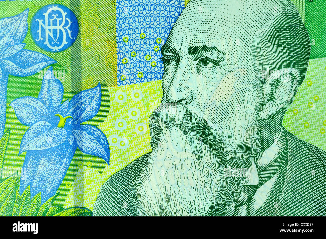 Detail des rumänischen Leu 1 Banknote (2005) - Porträt von Nicolae Iorga (Historiker, Politiker, Dichter und Dramatiker) Stockfoto