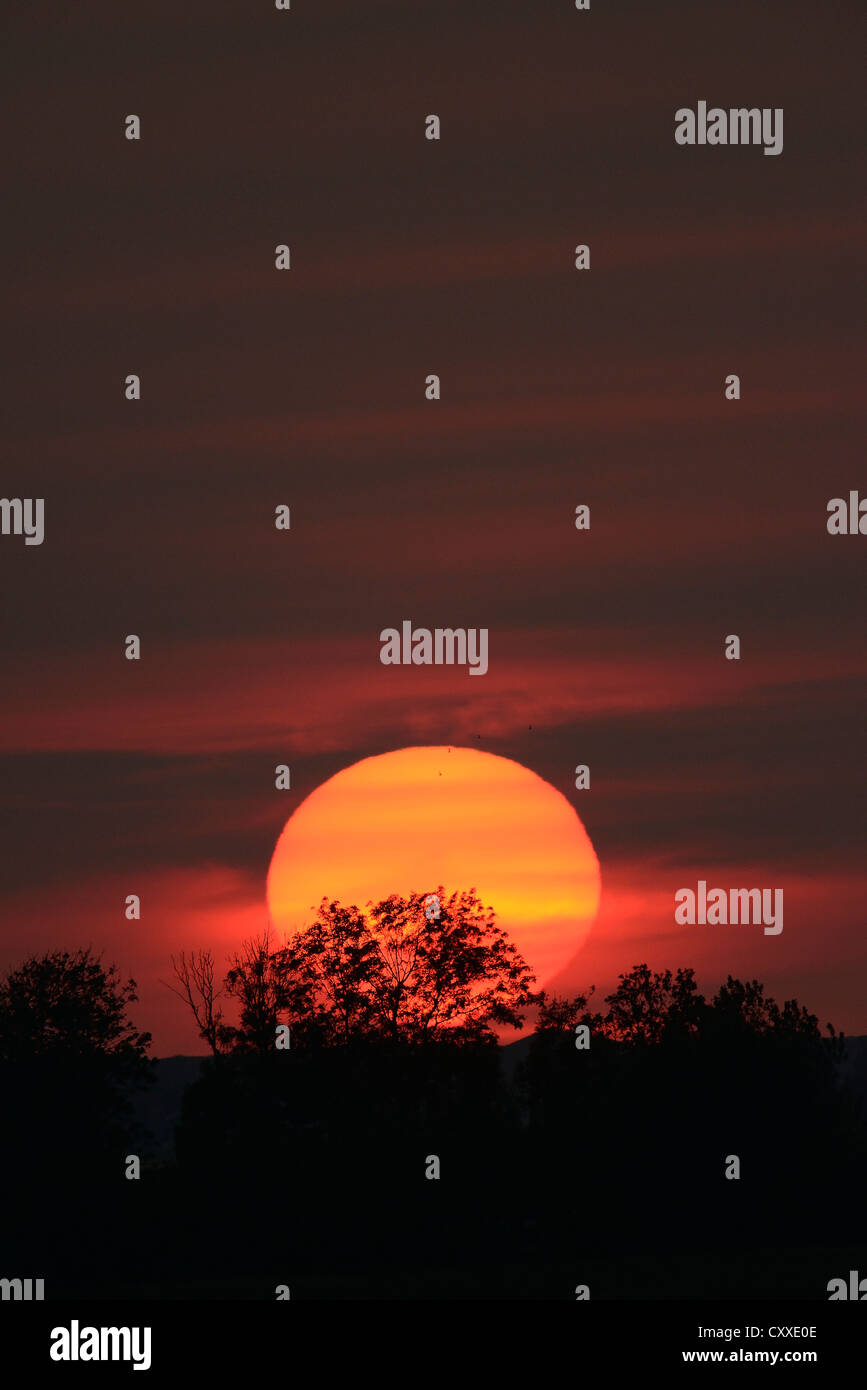 Sonnenuntergang, Texel, Niederlande, Europa Stockfoto