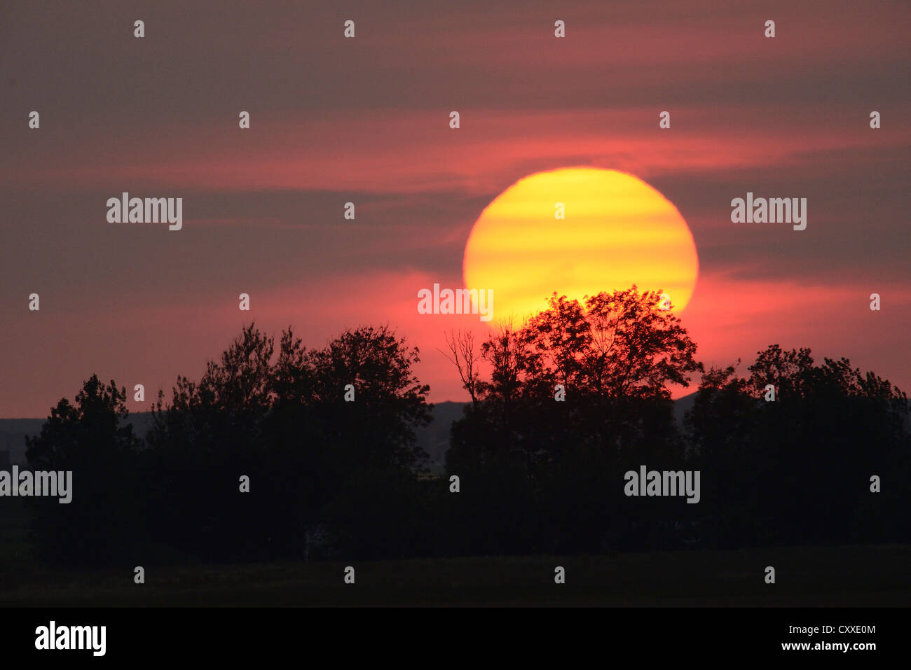 Sonnenuntergang, Texel, Niederlande, Europa Stockfoto