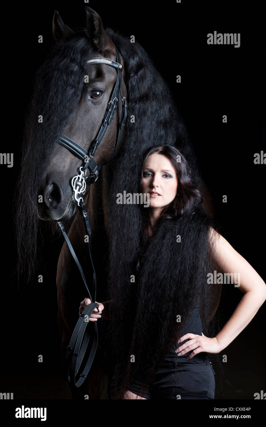 Friesische oder friesische Pferderasse mit jungen Frau eingewickelt in seiner langen Mähne, Wallach, Rappe Stockfoto
