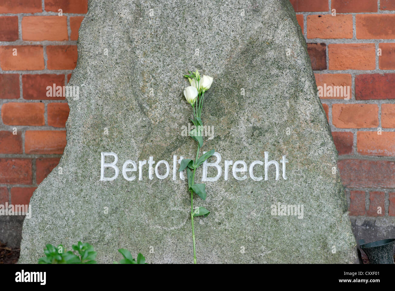 Grab von Berthold Brecht, 1898-1956, ein deutscher Dramatiker und Dichter, Dorotheenstadt Friedhof, Berlin Stockfoto