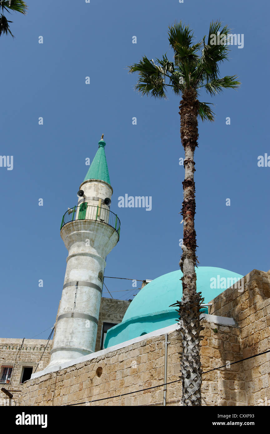 Al-Zaytuna Moschee in der Altstadt, Acre oder Akko, Unesco World Heritage Site, Israel, Nahost Stockfoto