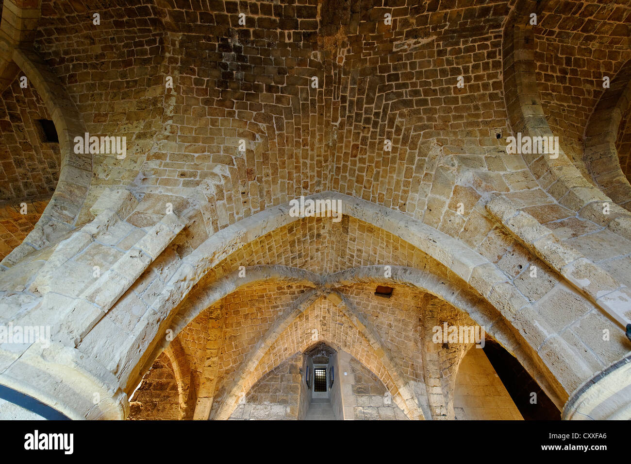 Säulenhalle, Kreuzfahrer Burg, Templerburg im historischen Viertel, Acre oder Akko, UNESCO-Weltkulturerbe, Israel Stockfoto
