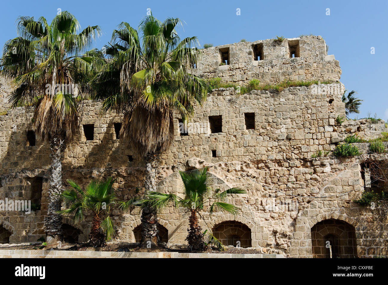 Kreuzfahrer Burg, Templerburg im historischen Viertel, Acre oder Akko, Unesco World Heritage Site, Israel, Nahost Stockfoto