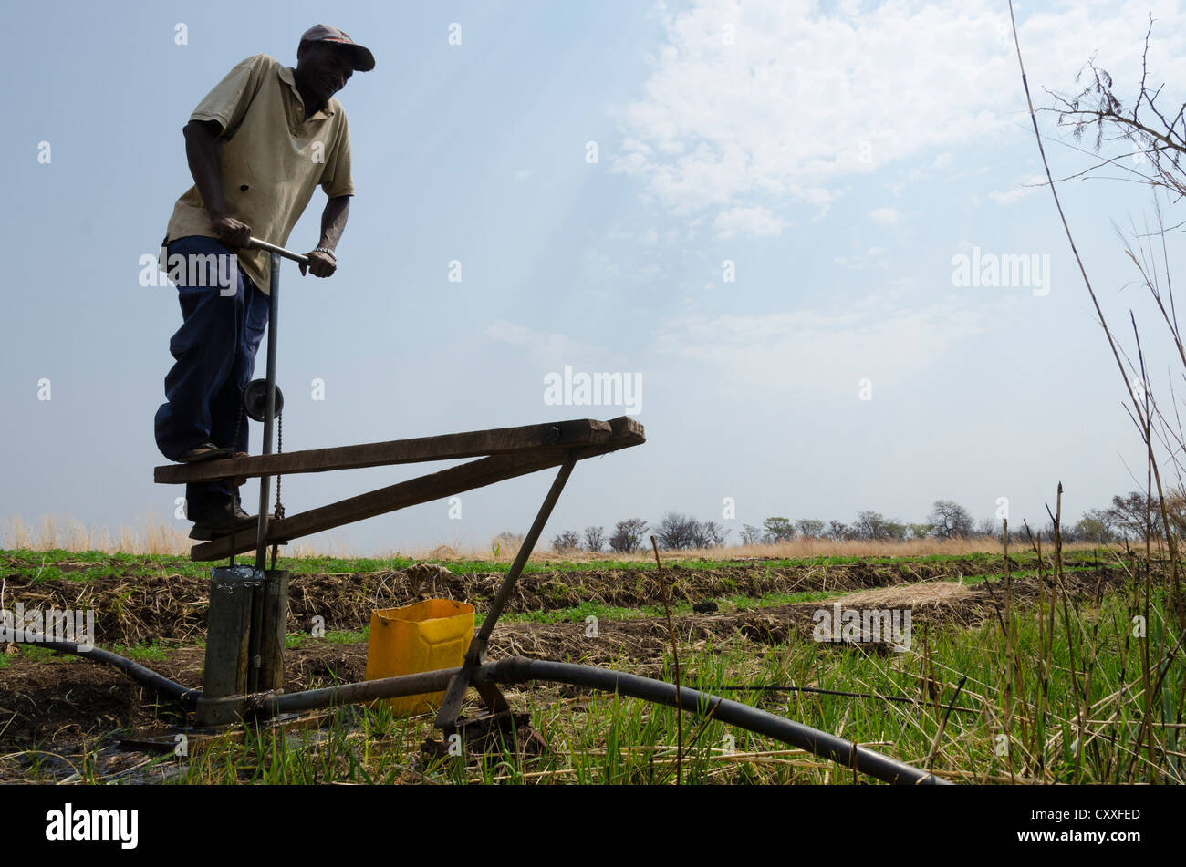 Kleinbäuerliche Bauer sein Feld mit einem Pedal Pumpe bewässern. Livingstone-Bereich. Sambia. Stockfoto