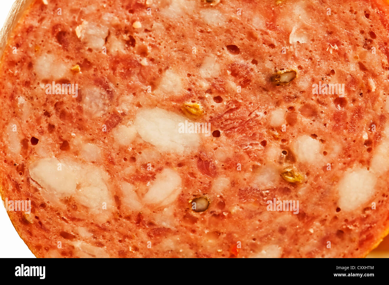 polnische Wurst kielbasa Stockfoto