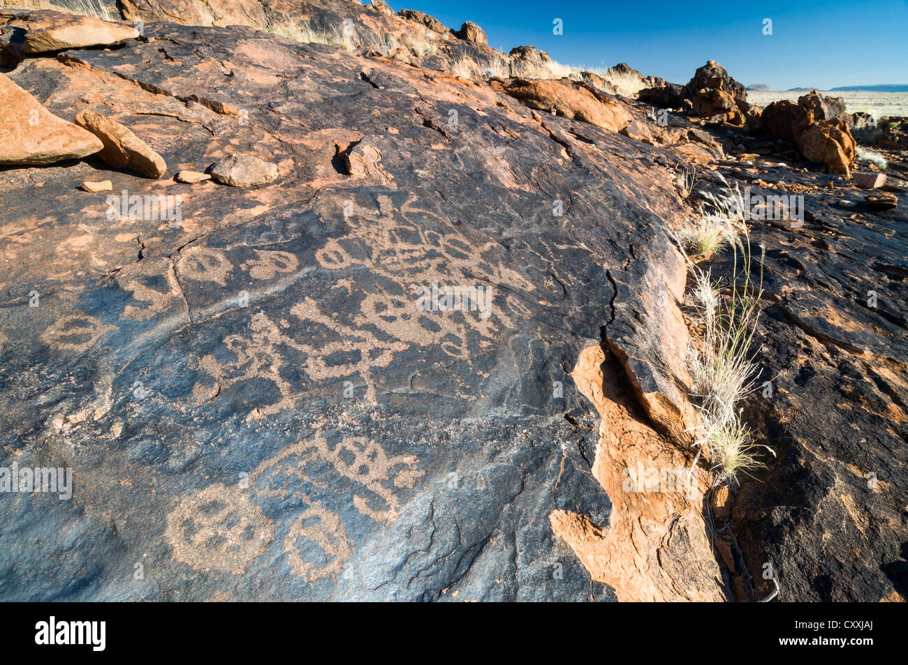 Petroglyphen, Felsgravuren der Buschmänner oder San, in der Nähe von Kenhardt, Northern Cape, Südafrika, Afrika Stockfoto