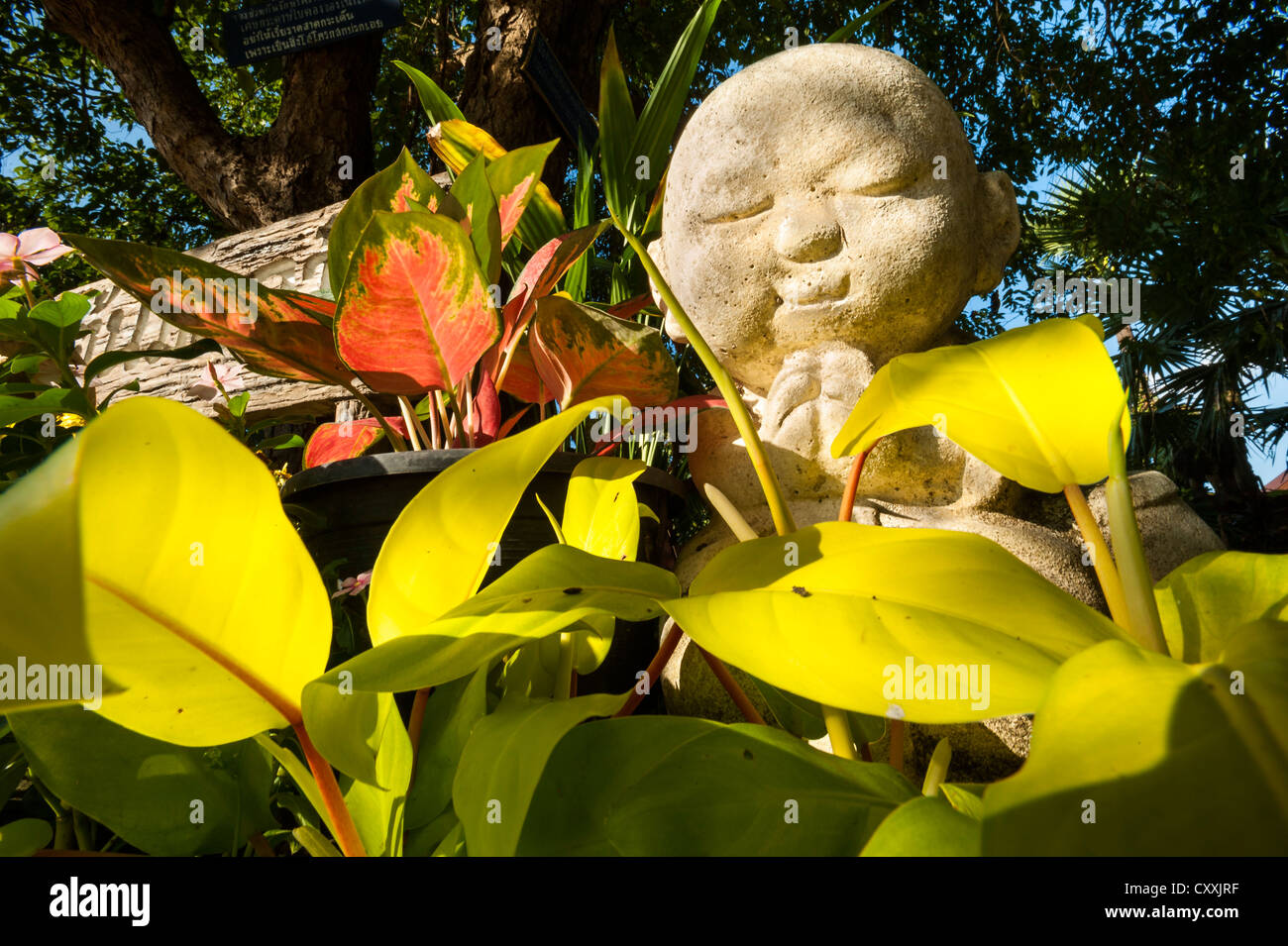 Buddha-Statue in Chiang Mai, Nord-Thailand, Thailand, Asien Stockfoto