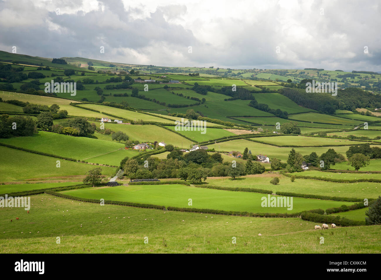 Die walisische Landschaft oberhalb Trefeglwys, Powys. Montgomeryshire.  SCO 8664 Stockfoto