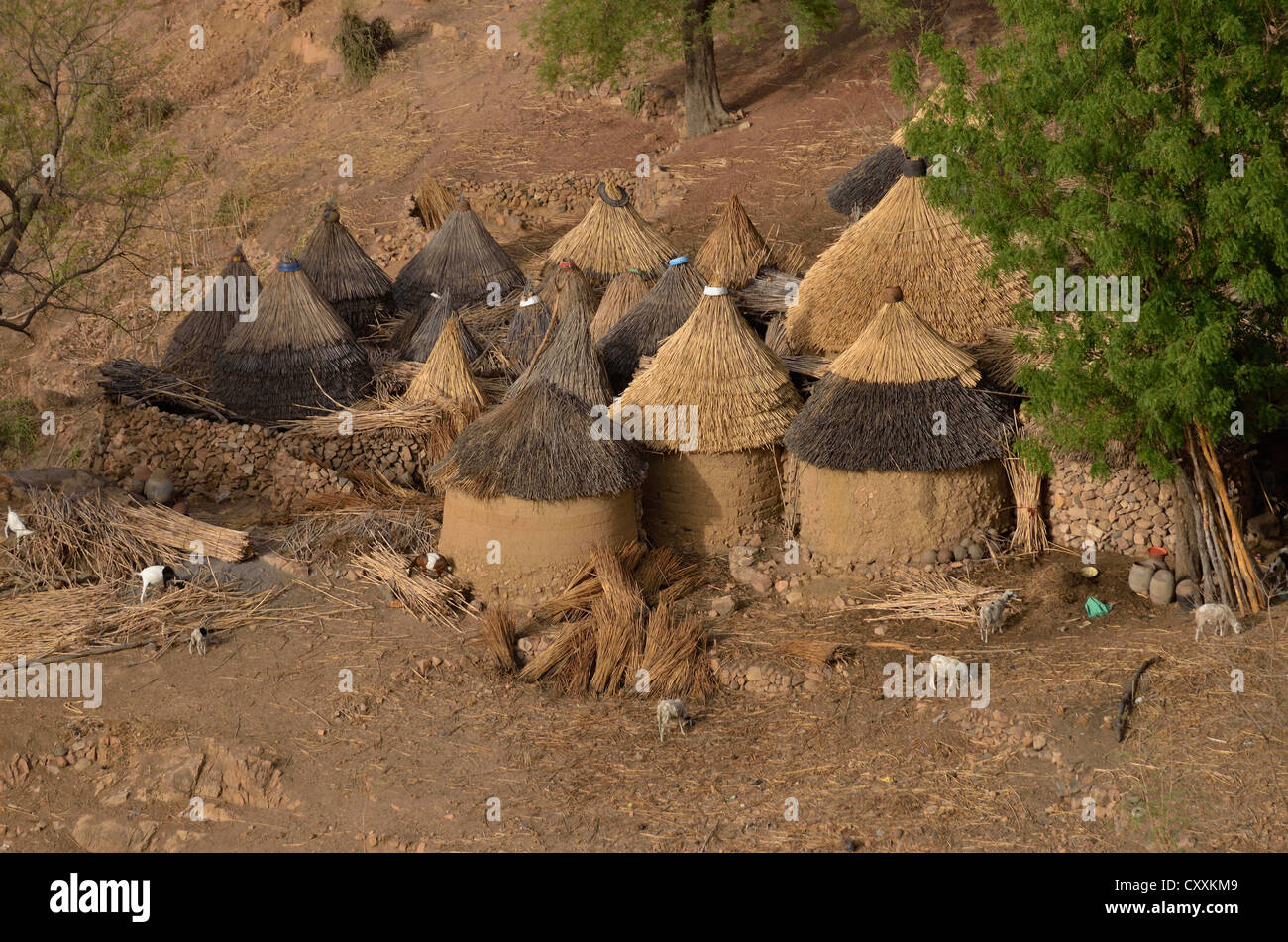 Dorf mit in der Regel strohgedeckten Rundhütten in den Mandara Bergen, Kamerun, Zentralafrika, Afrika Stockfoto