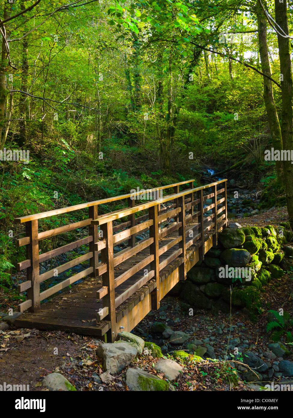 Fußgängerbrücke über Brockle Beck in Federn Holz im Lake District Park in der Nähe von Keswick, Cumbria, England United Kingdom Stockfoto