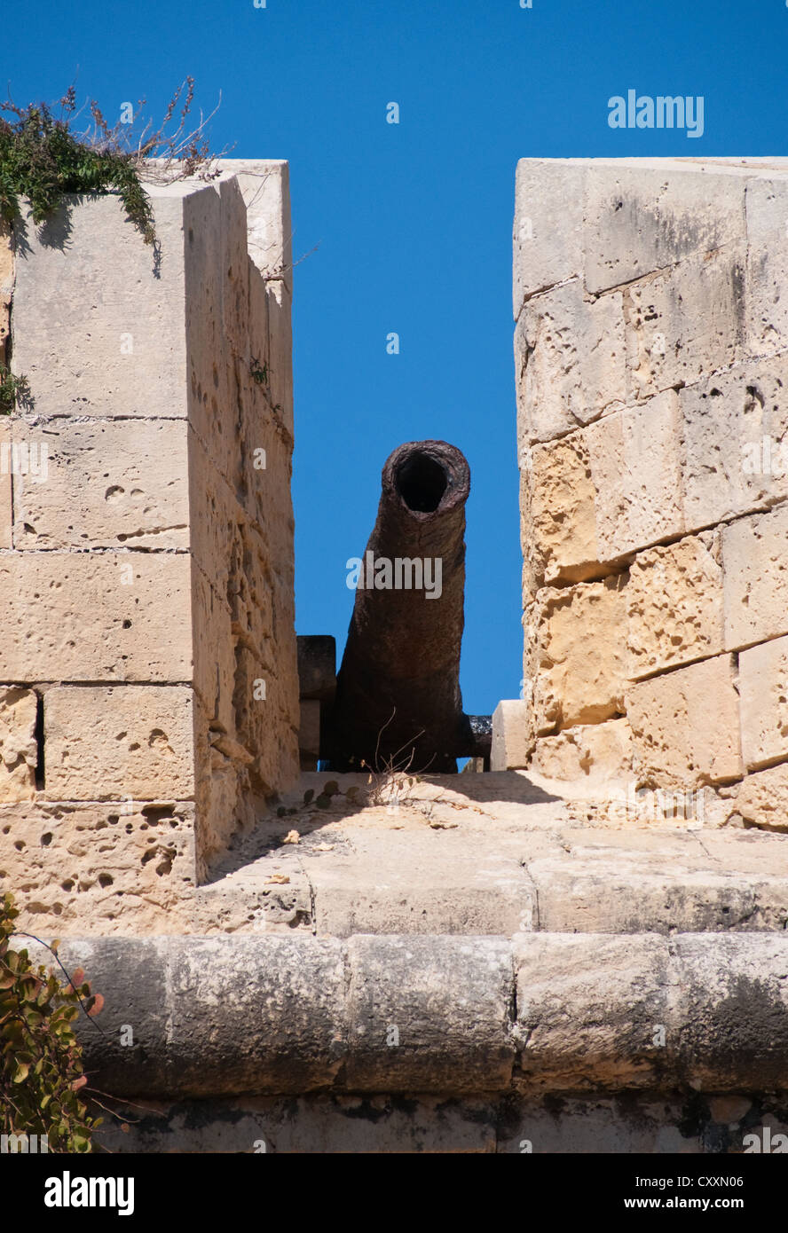 Ein Kanon ist Bestandteil der Verteidigung von der 16. Jahrhundert Fort St. Elmo in Valletta, Malta. Stockfoto