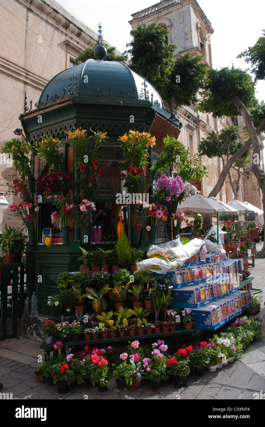 Blume stand neben St. Johns Co-Kathedrale, Republic Street, Valletta, Malta Stockfoto